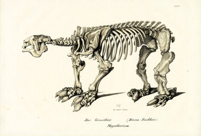 Reuzenluiaard, 1824 door Karl Joseph Brodtmann